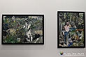 VBS_8433 - Artissima 2022 - Ventinovesima Edizione
